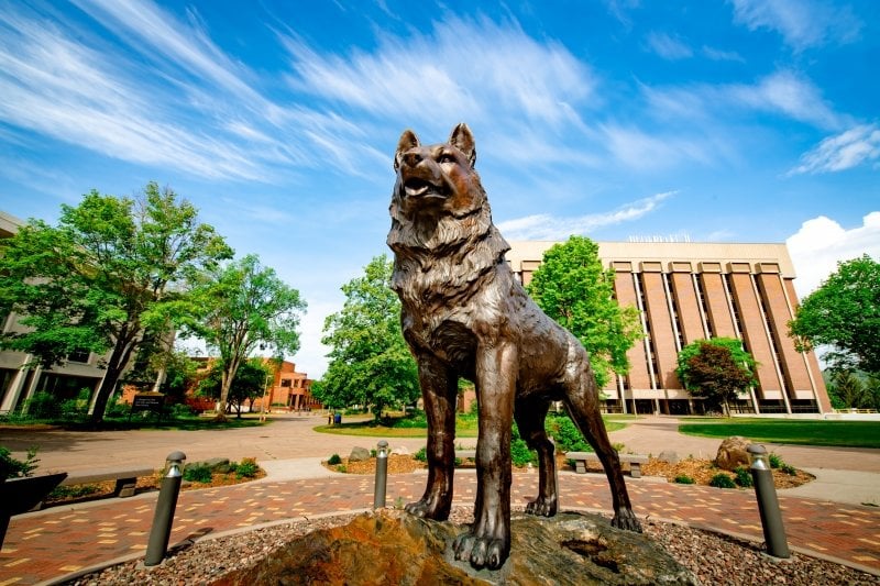 The Husky Statue in the summer.