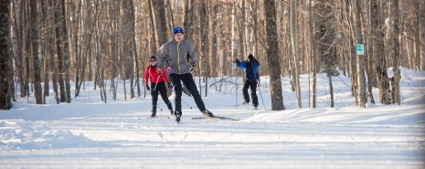 Alumni skiing on the Tech trails.