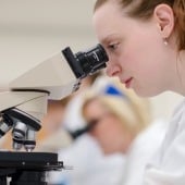 Researcher looking through microscope