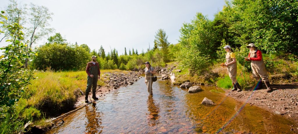 Researchers taking samples in a riverbed