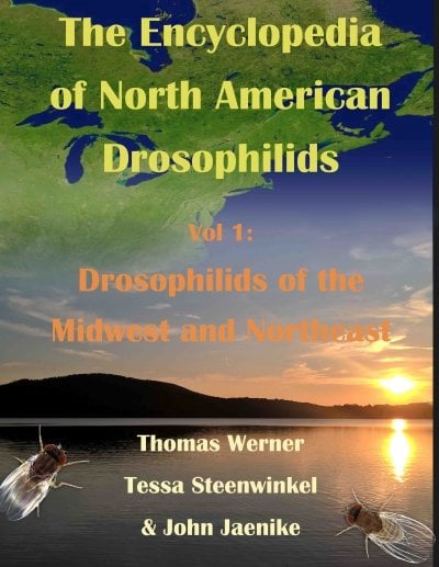 Drosophilids of the Midwest and Northeast book cover