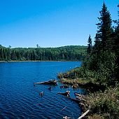 Boreal forest and Wallace Lake, under study since 1982, Isle Royale National Park, Michigan.