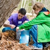 Two researchers in the woods at the base of a tree collecting samples