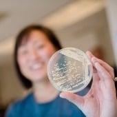 A researcher holding up a petri dish with an organism growing inside