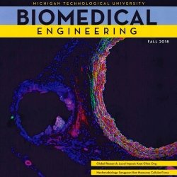 Biomedical Engineering Newsletter