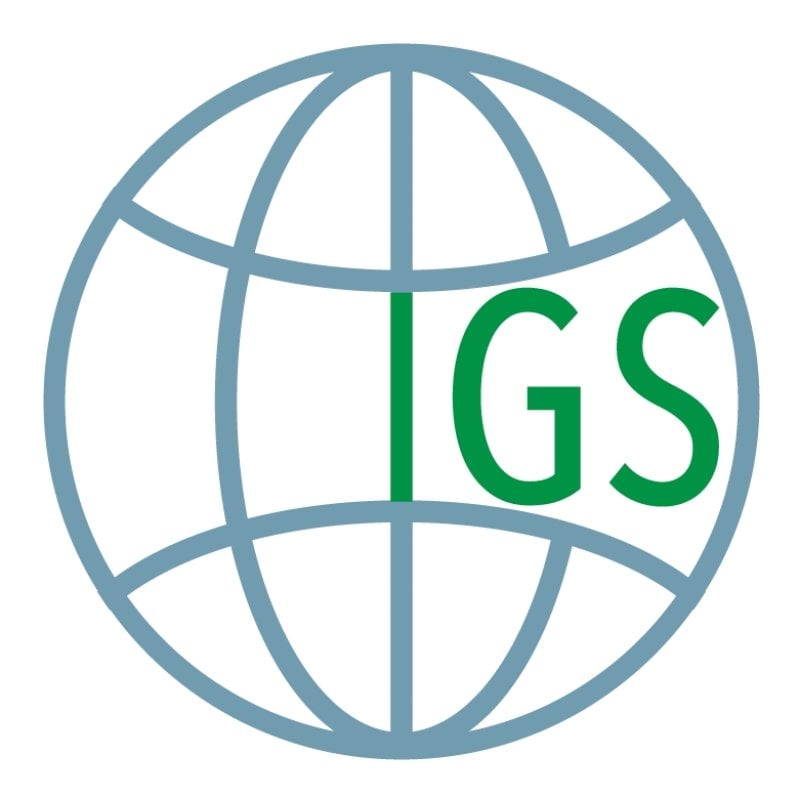 Innovative Global Solutions Logo