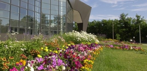 Photo of the flowers in from of the Rozsa Center during a sunny summer day.
