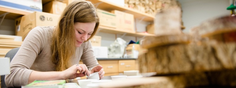 Student working on wood samples in the lab.