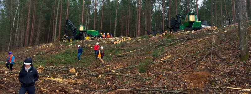 People at a logging site.