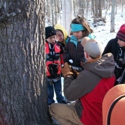 Student working with young children extracting syrup from a maple tree.