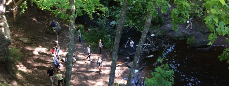 Overhead view of students walking through a forest.