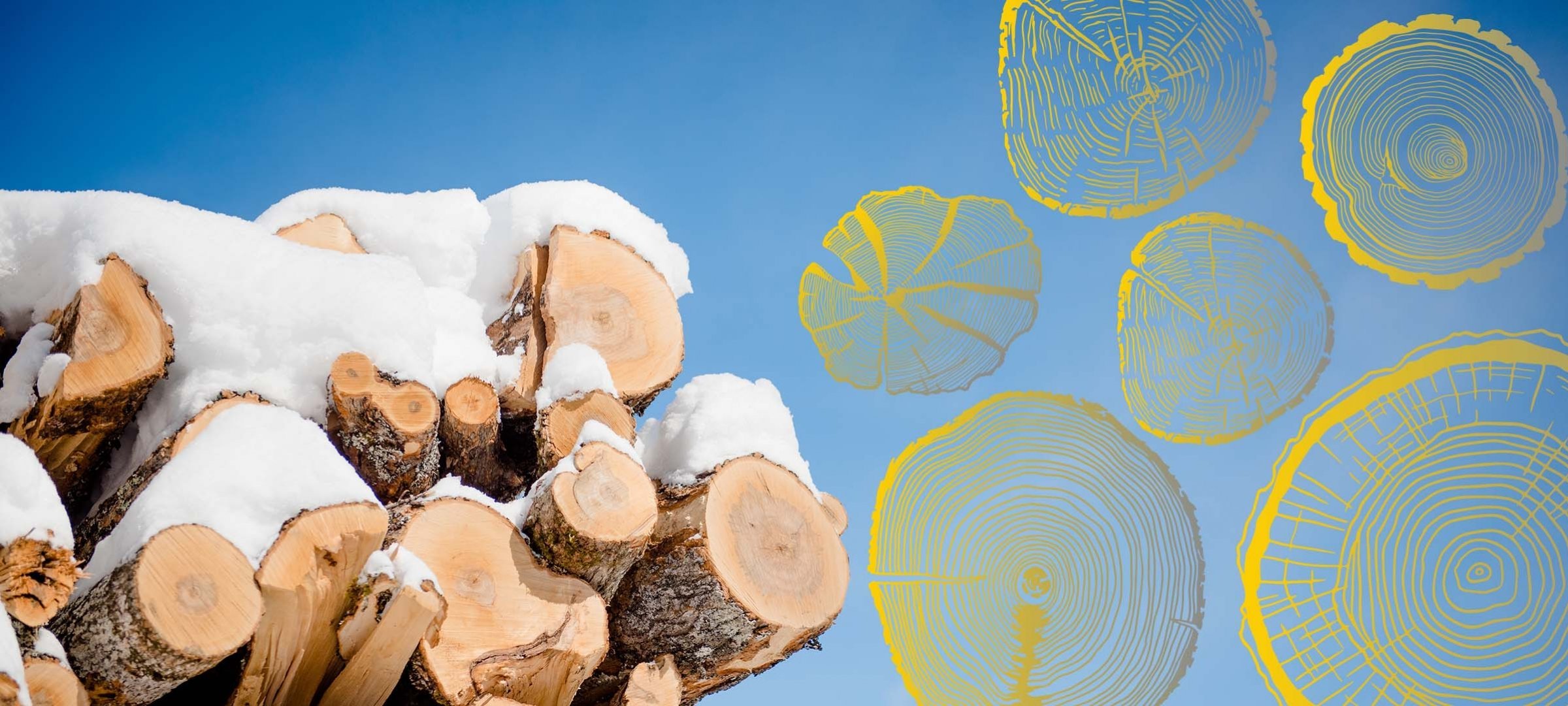 Stack of logs with snow and wood cookie graphics.