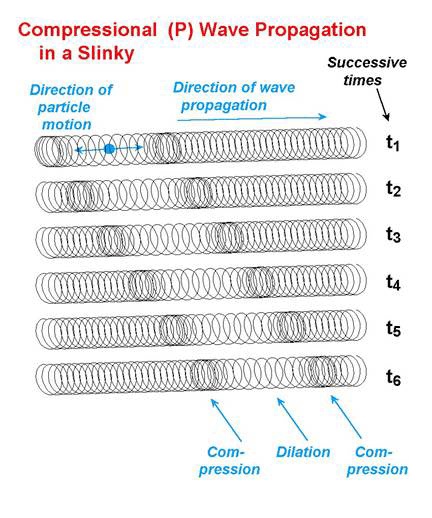 Series of slinky images showing compression and dilation of rings over time.