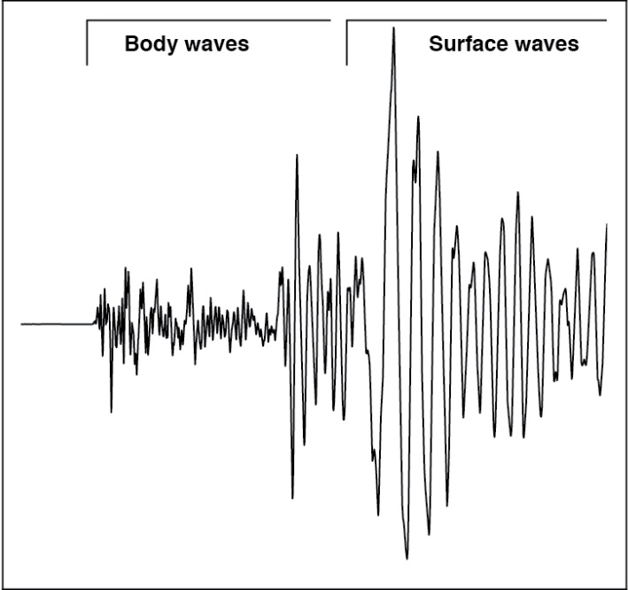 Signal showing larger amplitude, lower frequency surface waves compared to body waves.