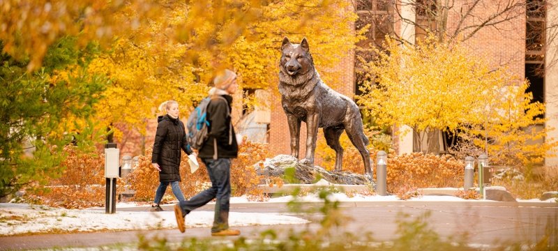 Husky statue in fall