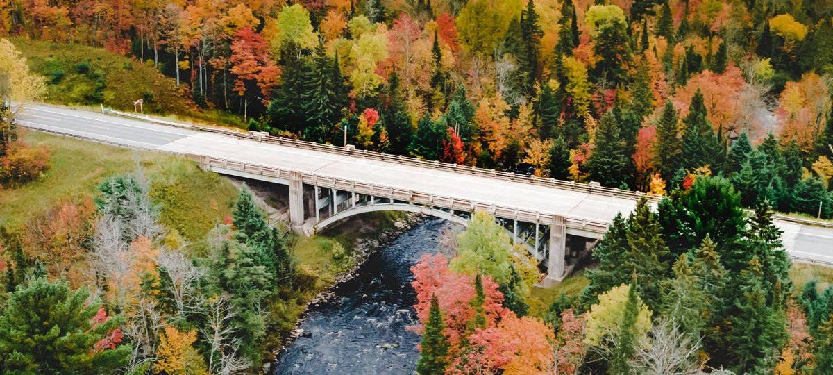 A bridge surrounded by fall trees