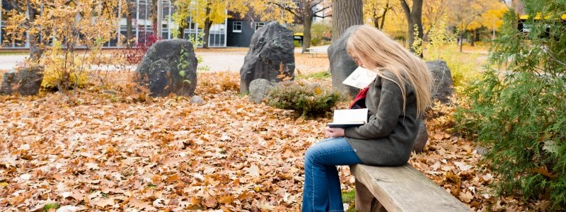 Student reading on a bench outside in the fall