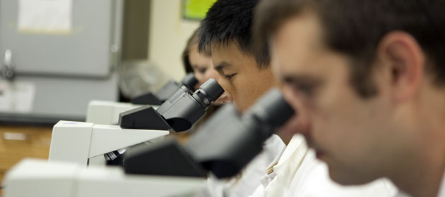 Students using microscopes