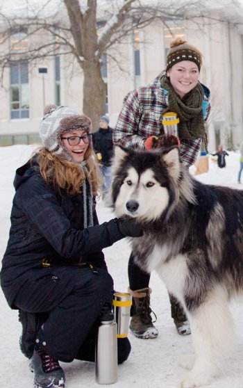 Two students petting a husky dog.