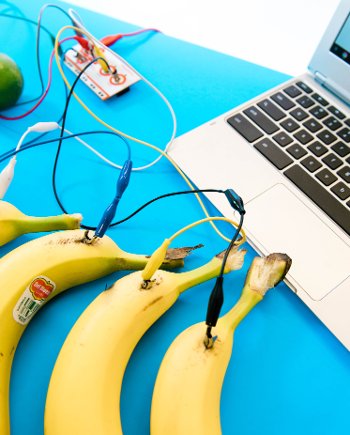 Bananas hooked up to a laptop.