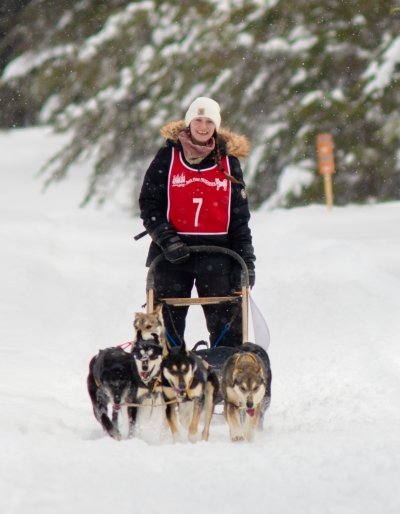 Dogs pulling a sled and rider.