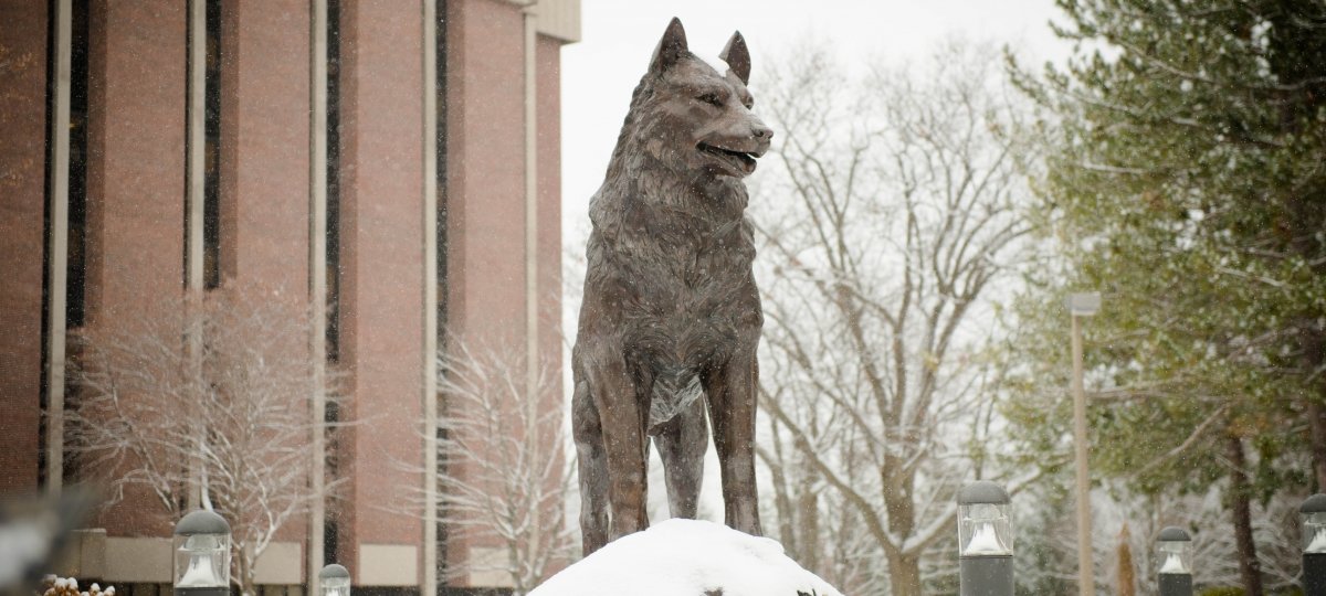 Husky statue in the snow.