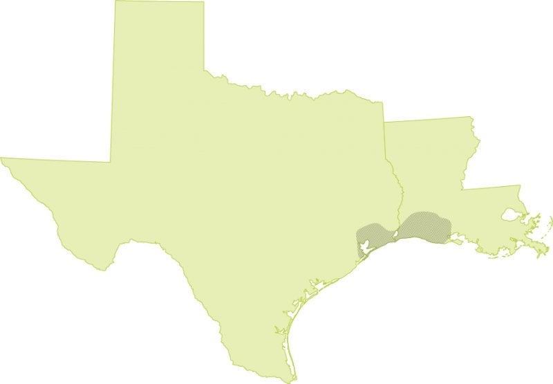 Two-state map with a small area of southeast Texas and southwest Louisiana highlighted.