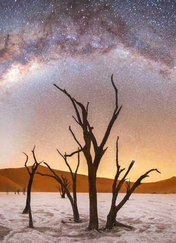 Milky Way over Deadvlei in Namibia.