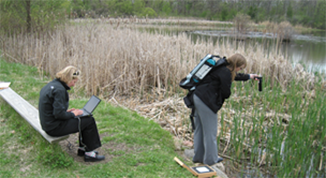 Two people collecting data in a wetland.
