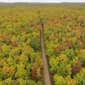 Aerial view of a road going through a forest.