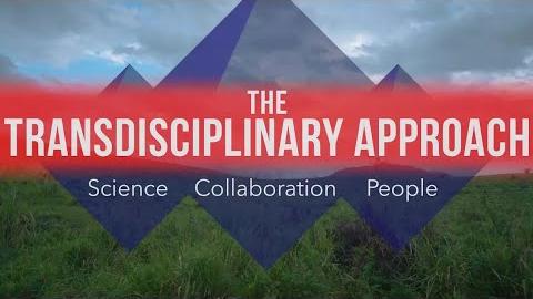 Preview image for Transdisciplinary Approach: Science. Collaboration. People. video