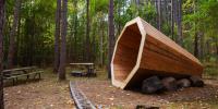 A large conical, megaphone shaped, wooden structure in the woods.