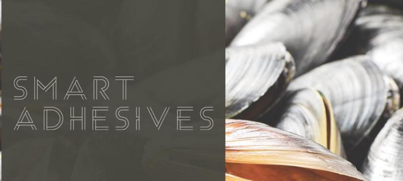 Smart Adhesives text over mussel shells.