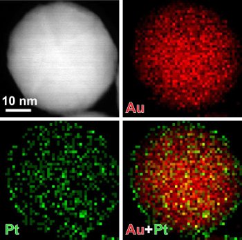 By coating nanoparticles in thin layers of platinum, only a few atoms thick, Xia's team was able to increase the sensitivity of test strips that detect prostate-specific antigen (PSA).