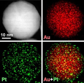 Nano Au Pt By coating nanoparticles in thin layers of platinum, only a few atoms thick, Xia's team was able to increase the sensitivity of test strips that detect prostate-specific antigen (PSA).