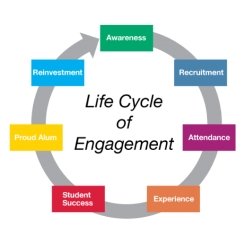 circular graph. The life cycle.