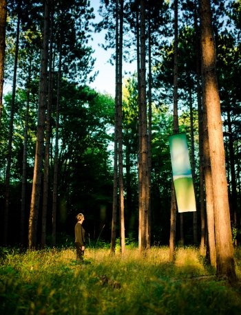 A person looks at a cloth banner hung from pine trees in the forest.