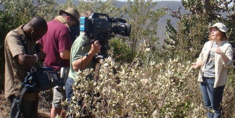 PhD student Alex Guth on camera for National Geographic in Kenya.