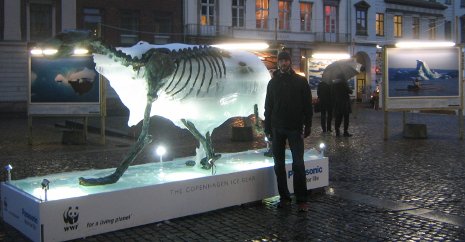 Adam Airoldi with the World Wildlife Fund's "ice bear" display at the climate change conference in Copenhagen.