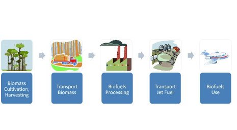 From plants to transportation and back again, the life cycle of biofuels