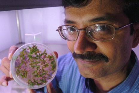 Gopi Podila, University of Alabama-Huntsville photo Gopi Podila, University of Alabama-Huntsville photo