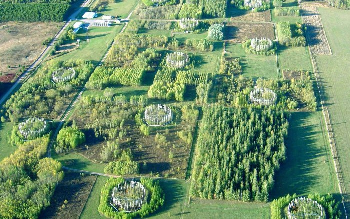 Aerial view of Northern Forest Ecosystem Experiment site in northern Wisconsin