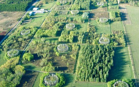 Aerial view of Northern Forest Ecosystem Experiment site in northern Wisconsin