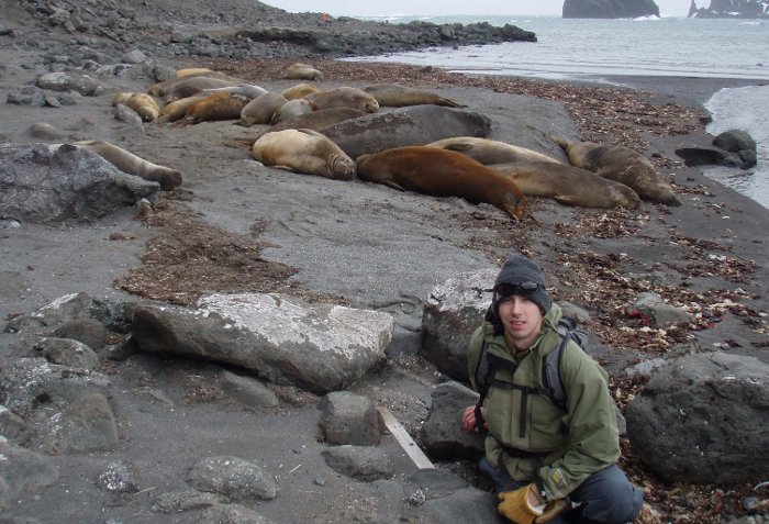 Chris Johnson with elephant seals on King George Island, Antarctica.