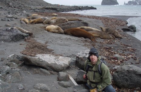 Chris Johnson with elephant seals on King George Island, Antarctica.