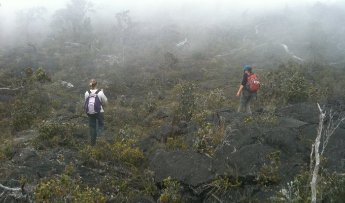 Researchers trek across one of the many kipukas of Mauna Loa.