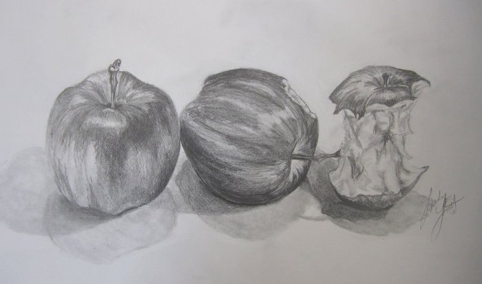 Still Life (apples), a sketch by Lindsey Licht, was selected for display in the "Art in the House" exhibit in Lansing.