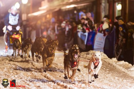 Dogs race through downtown Calumet.