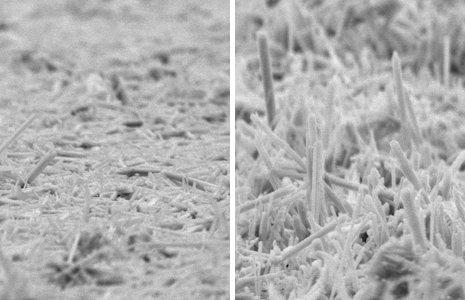 The non-aligned manganese dioxide nanorods on the left were made using conventional methods. The aligned nanorods on the right were grown in Dennis Desheng Meng's lab using electrophoretic deposition. Photos by Sunand Santhanagopalan