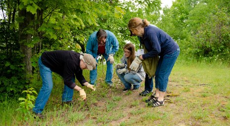 Teachers examine plants growing near the shores of Lake Superior.